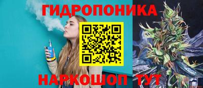 гидра Партизанск